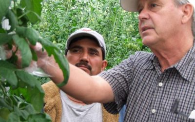 El ABC de las ventas Agrícolas